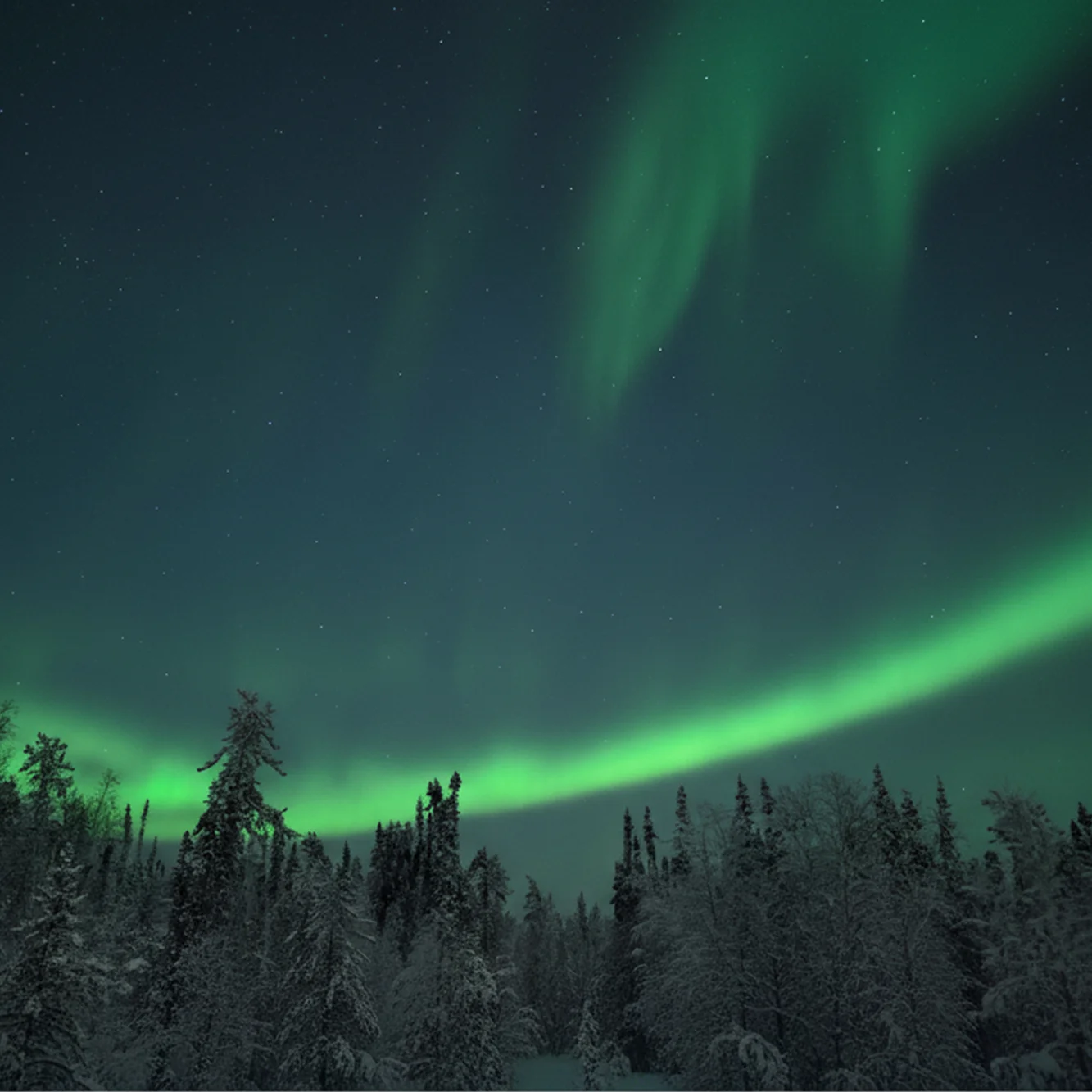 Northern Lights
