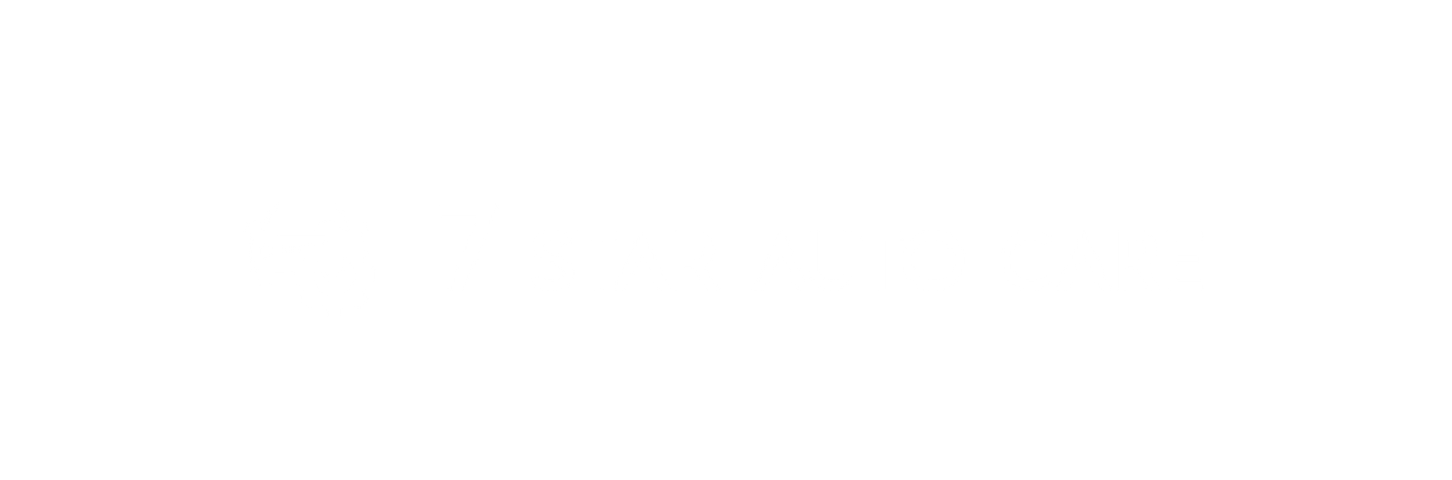 7 star logo white