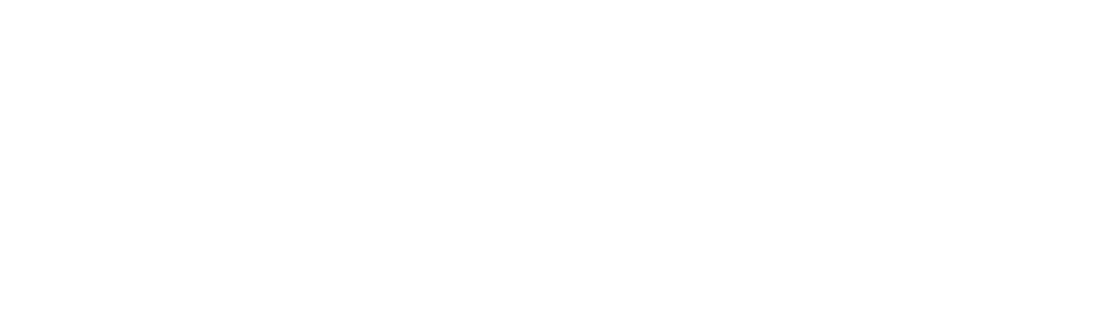 hmn trader logo png-01