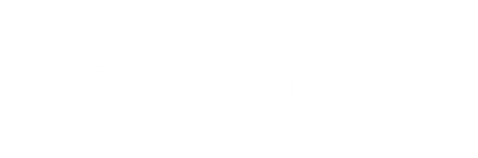 7 star logo white