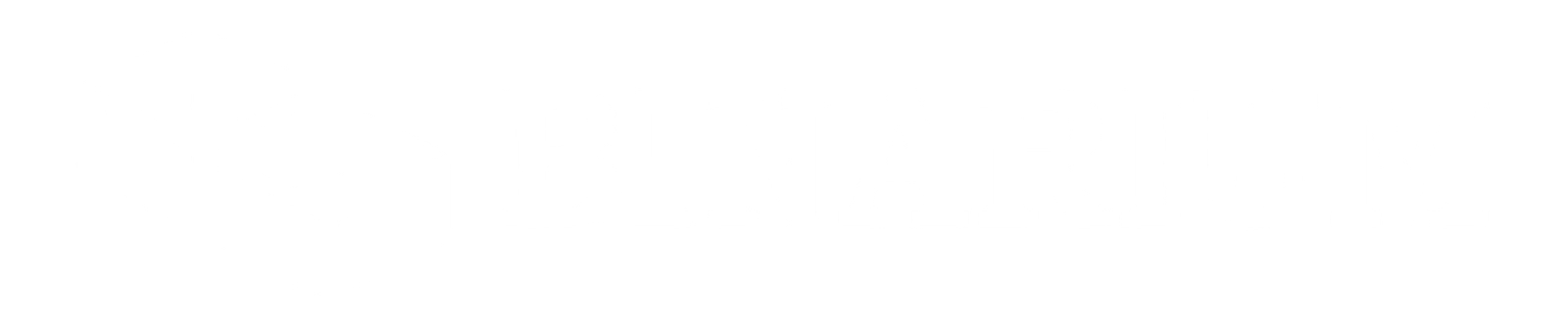 BinariumLogo png-01